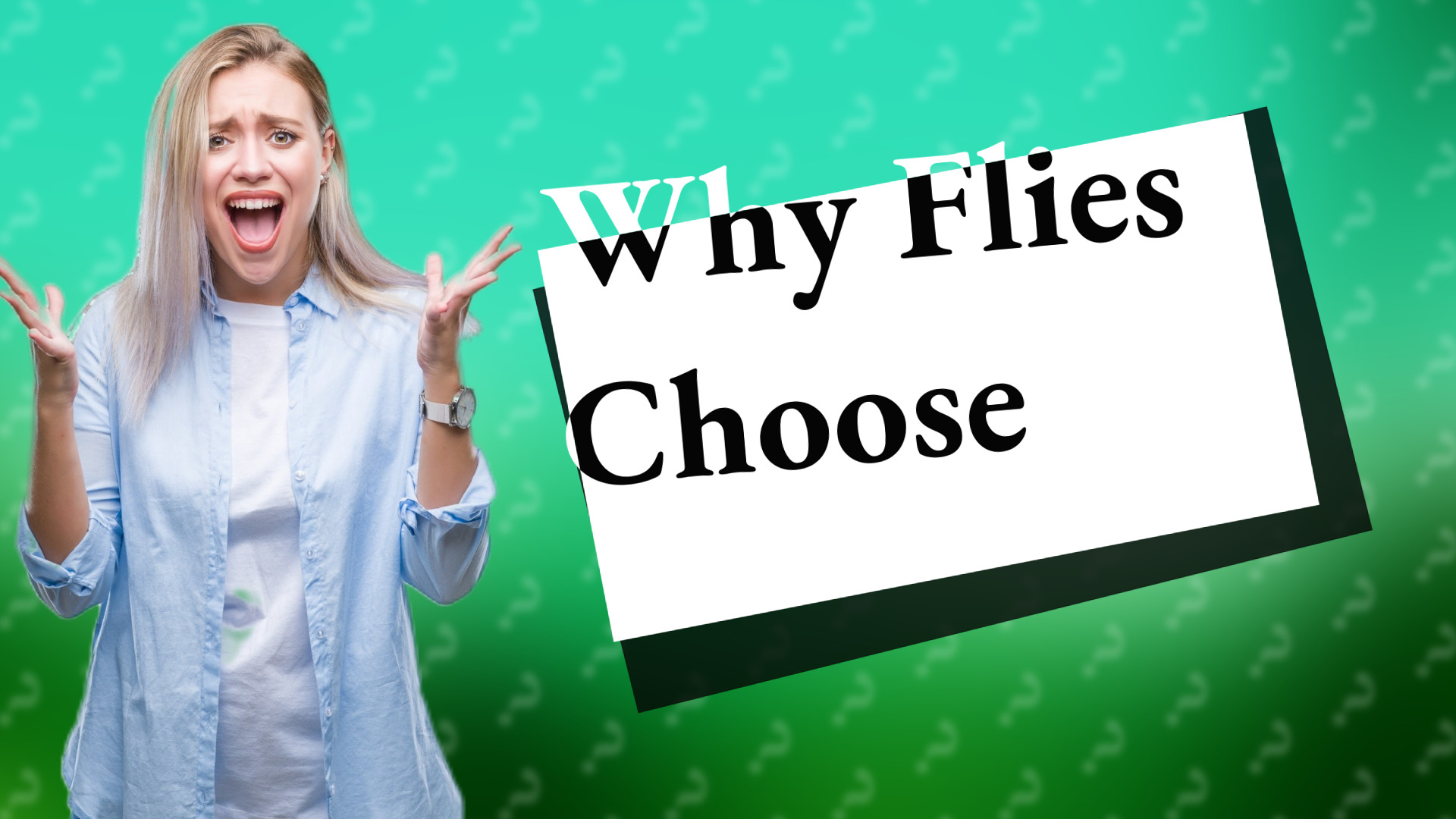 Why Flies Choose