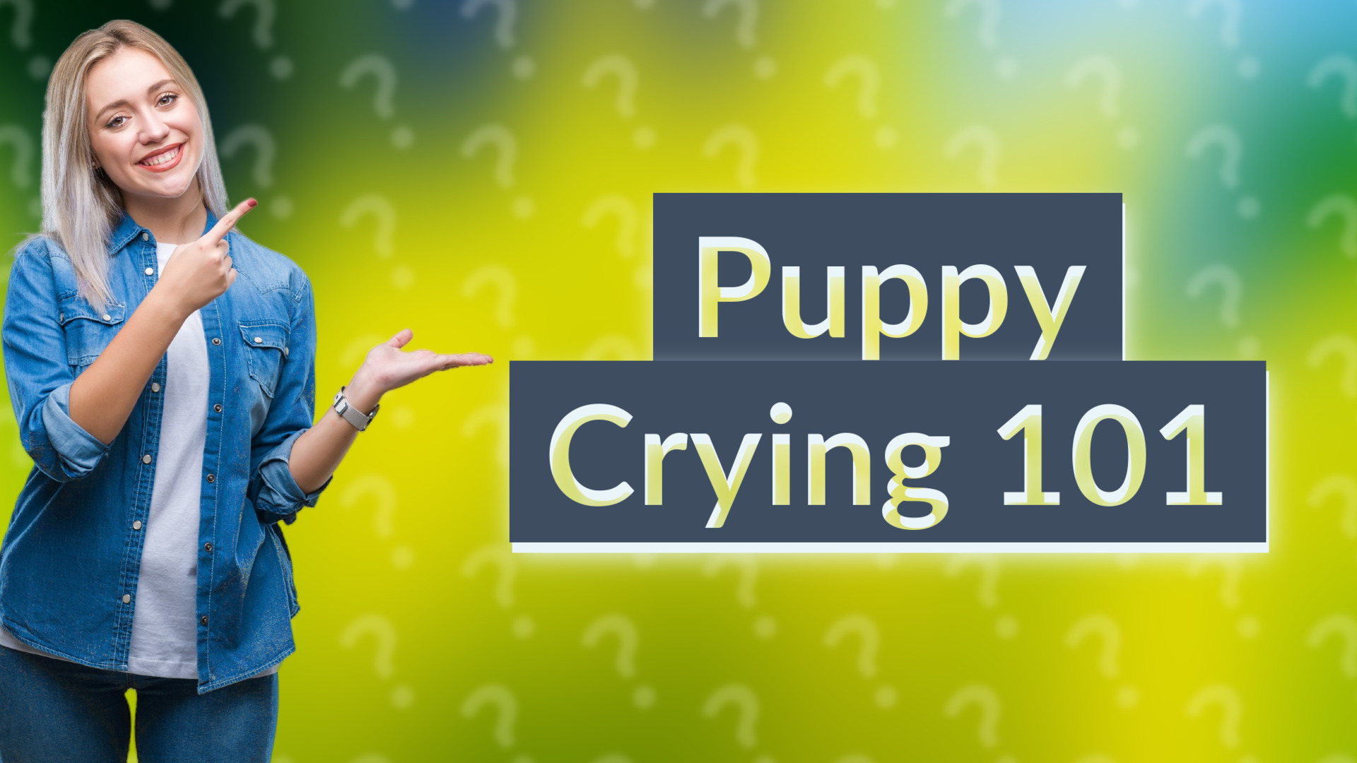 Puppy Crying 101
