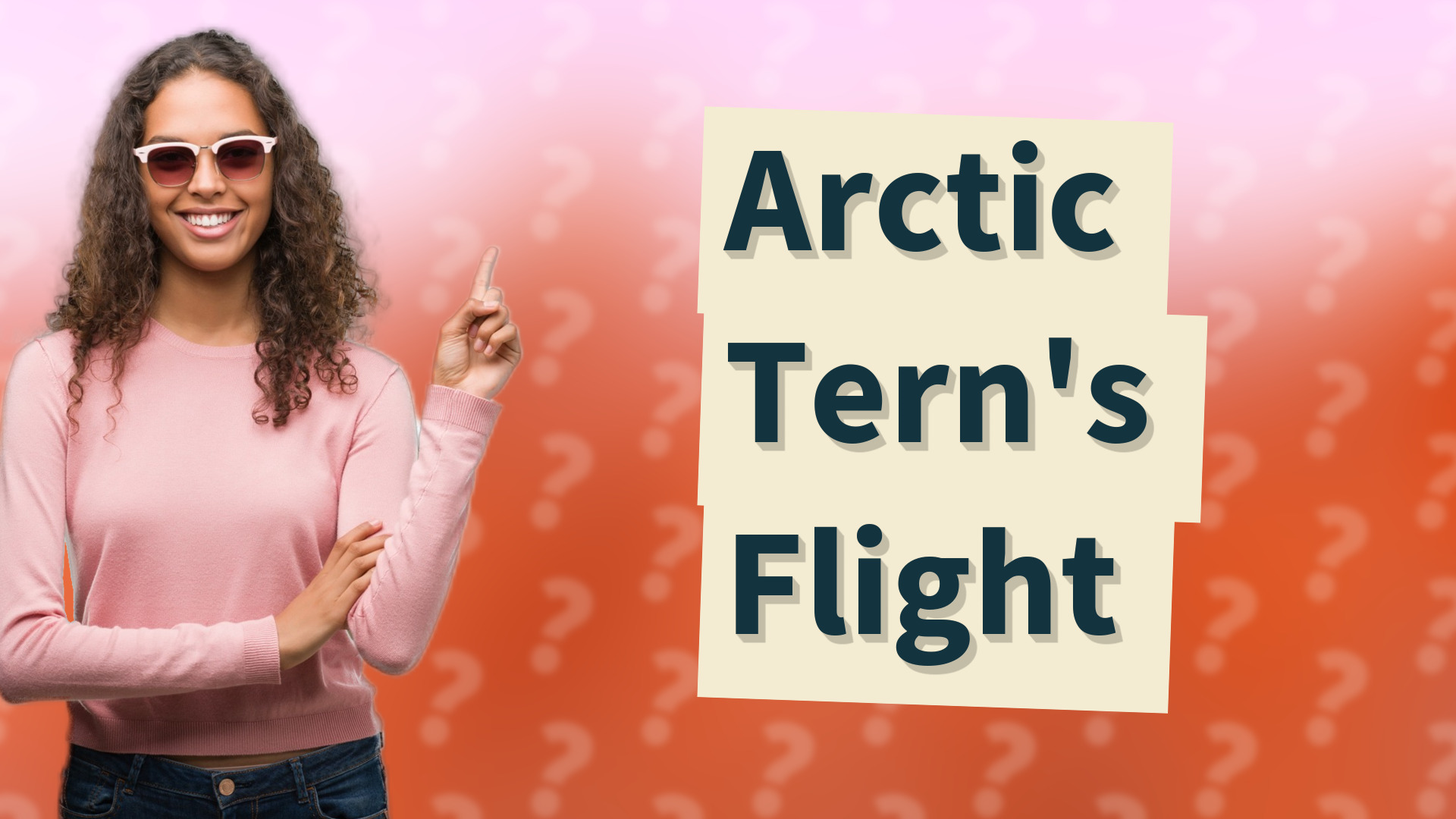 Arctic Tern's Flight