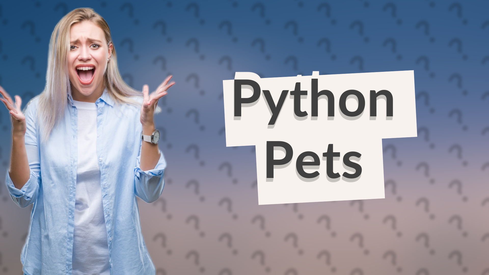 Python Pets