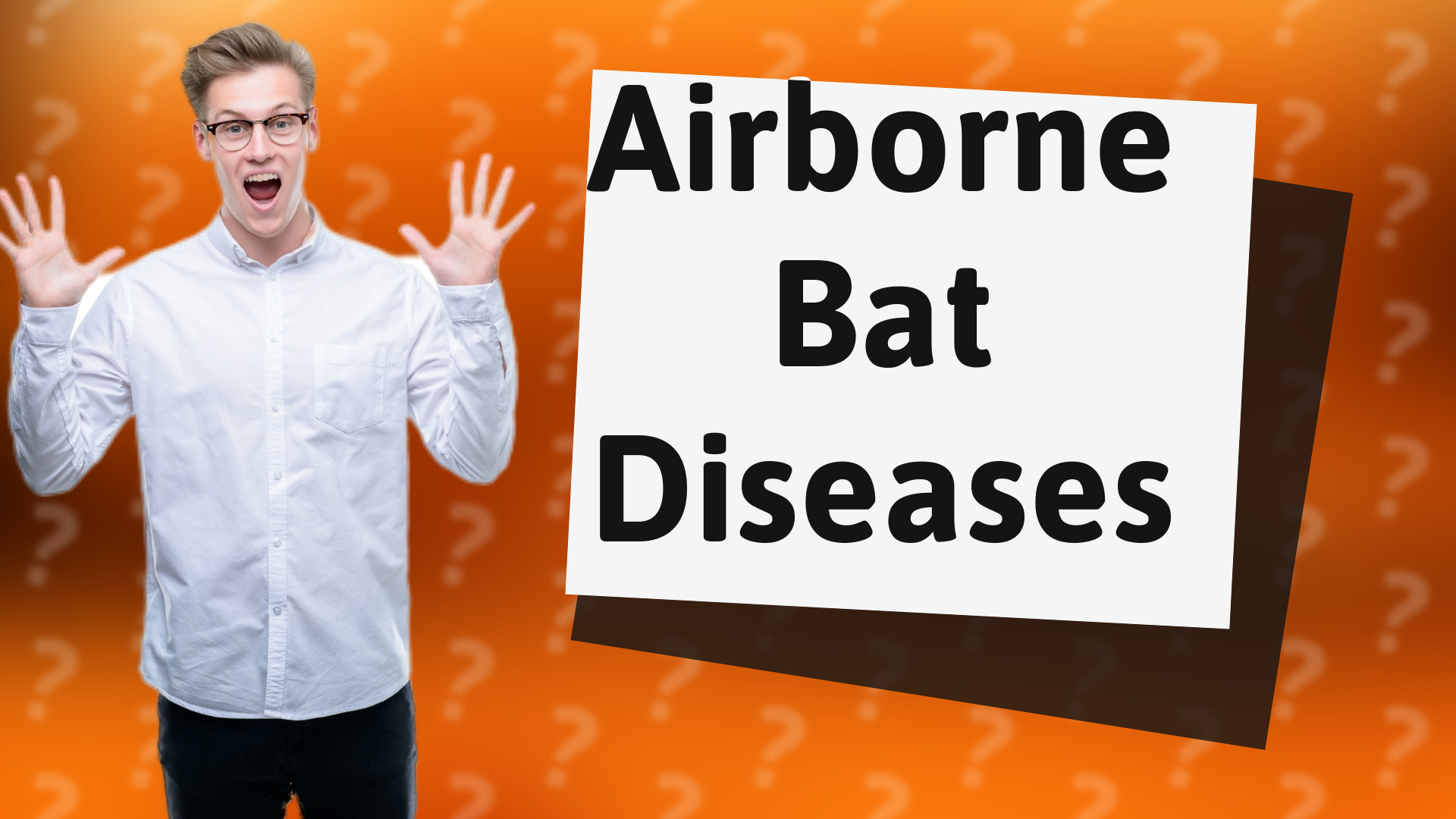Airborne Bat Diseases