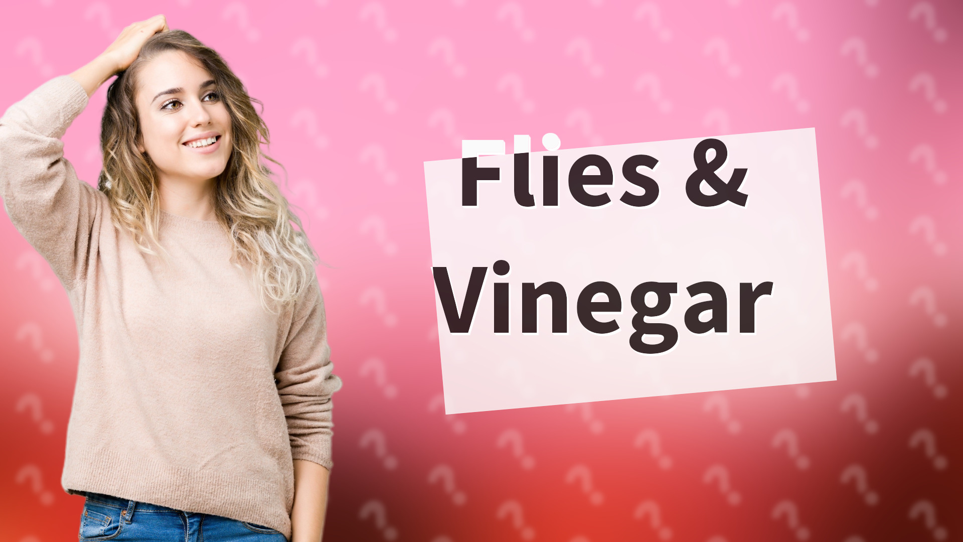 Flies & Vinegar
