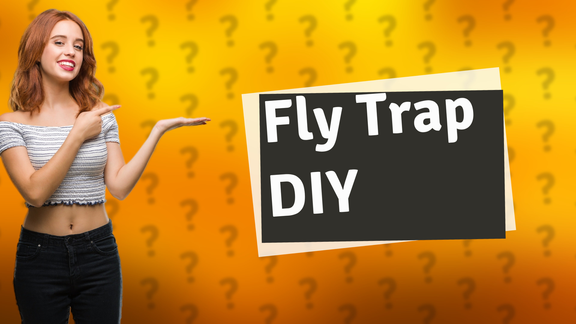 Fly Trap DIY