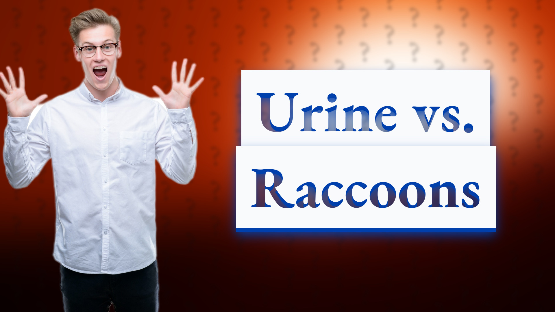 Urine vs. Raccoons