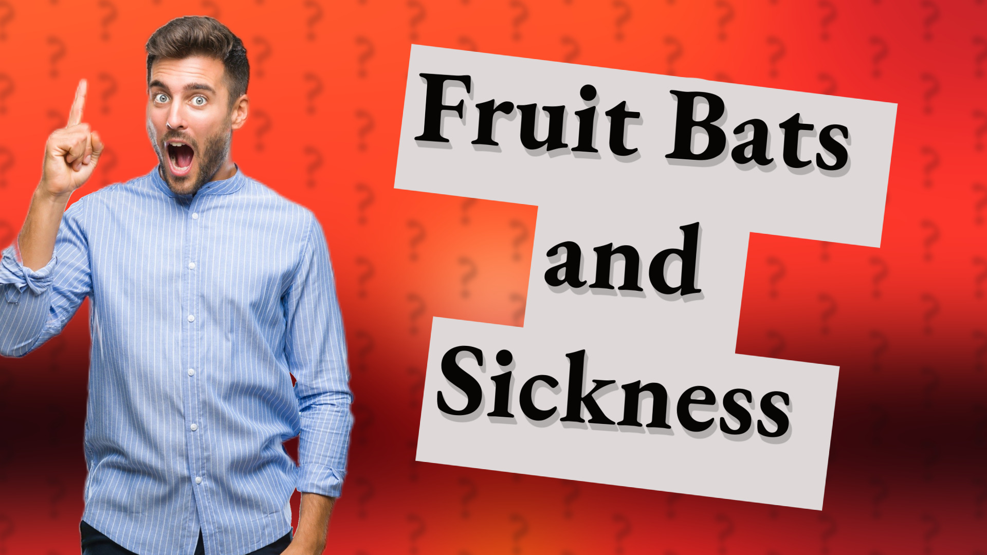 Fruit Bats and Sickness