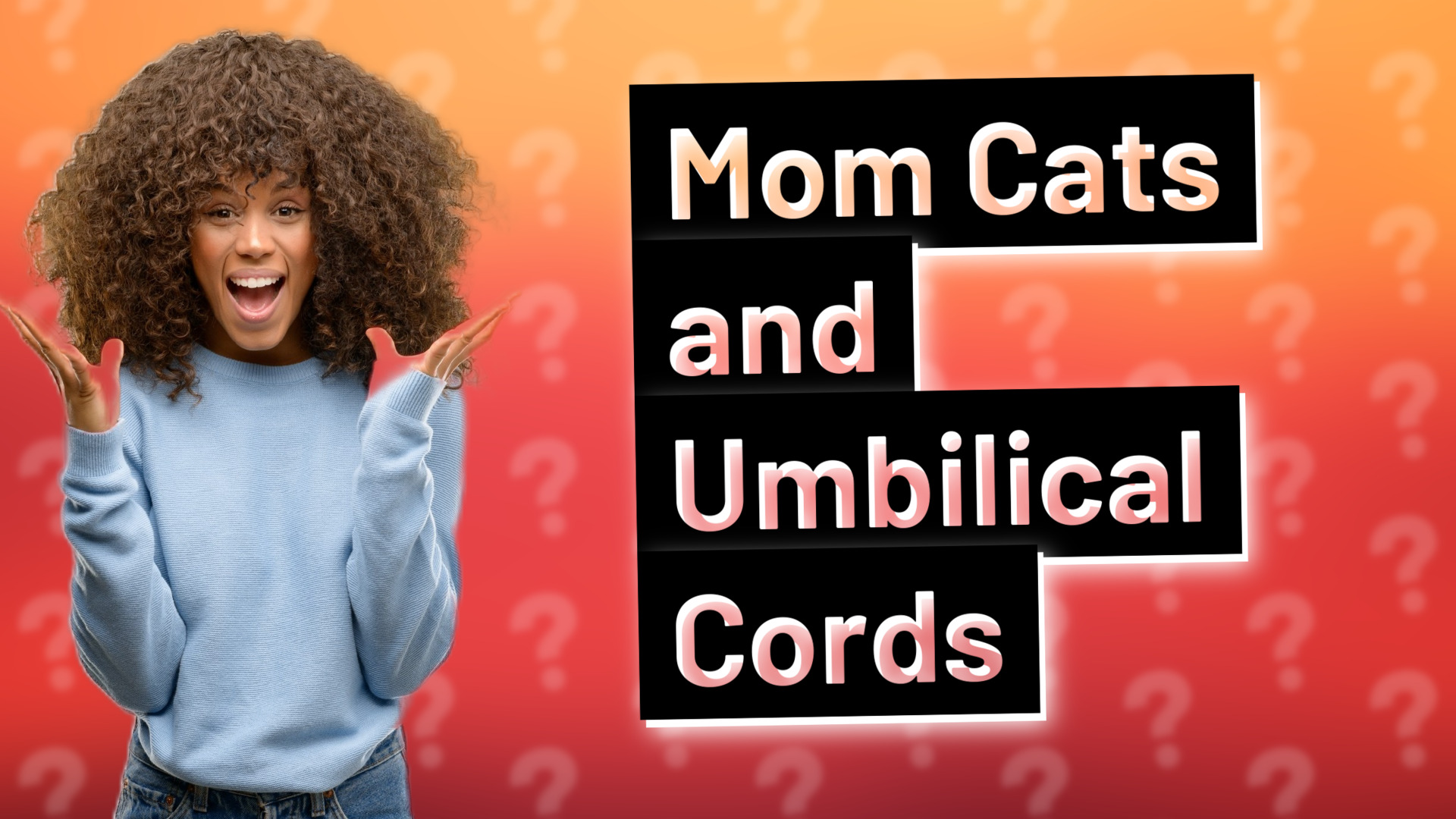 Mom Cats and Umbilical Cords