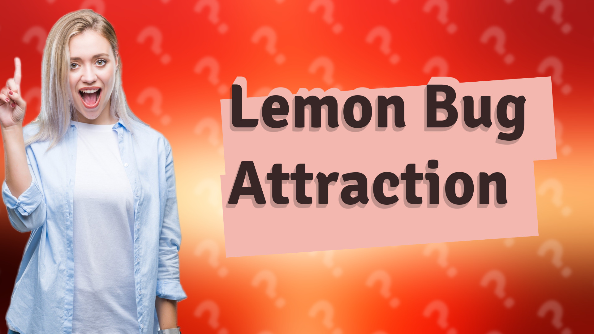 Lemon Bug Attraction