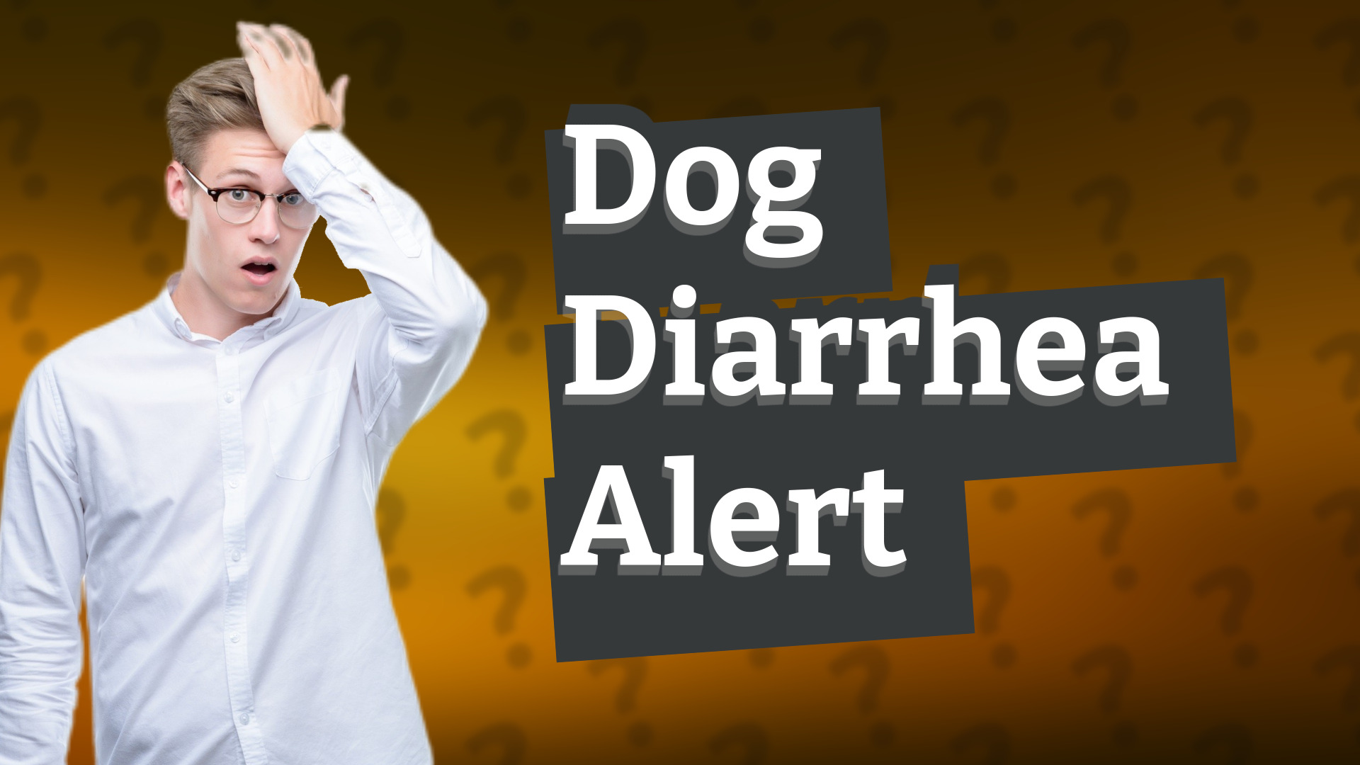 Dog Diarrhea Alert
