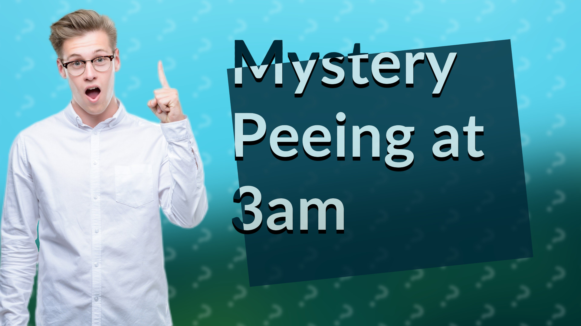 Mystery Peeing at 3am