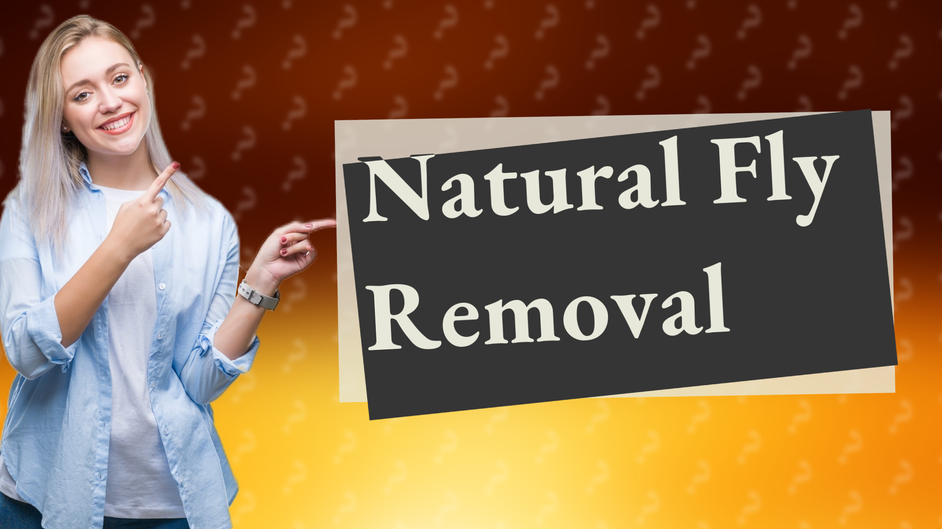 Natural Fly Removal