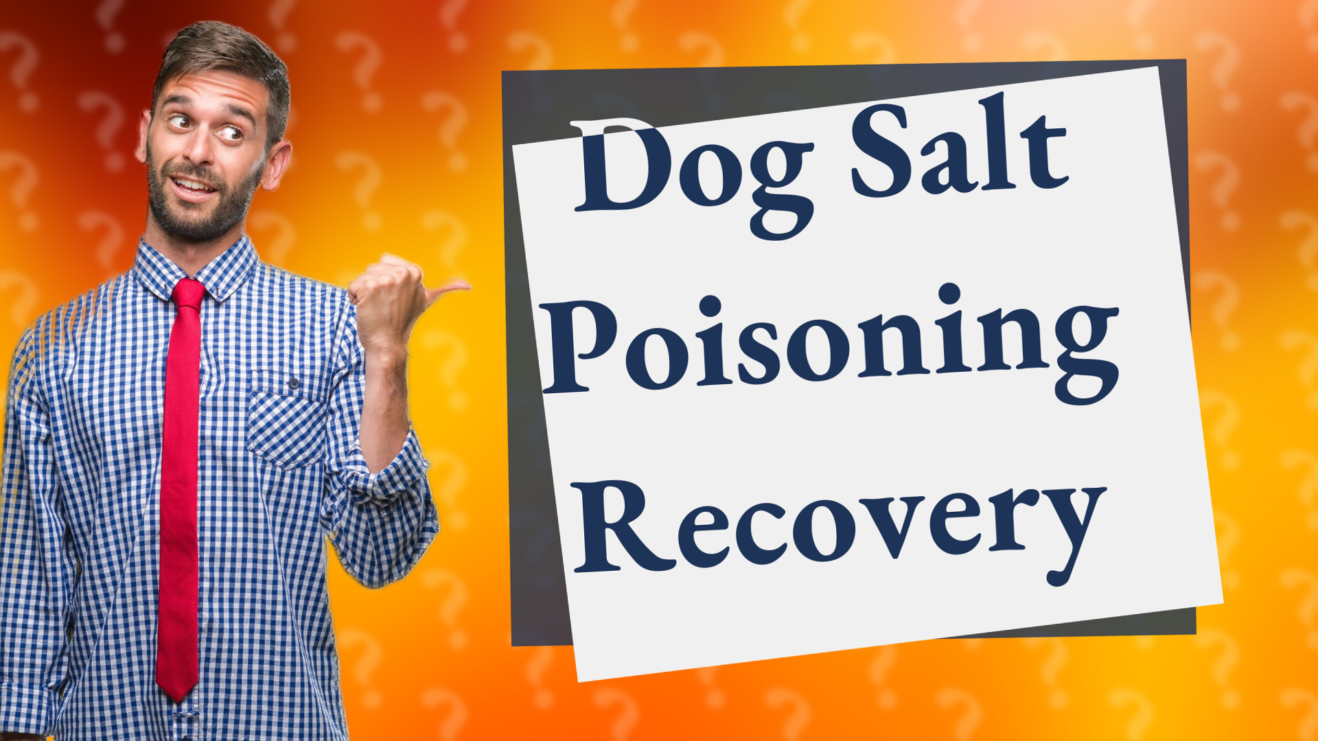 Dog Salt Poisoning Recovery