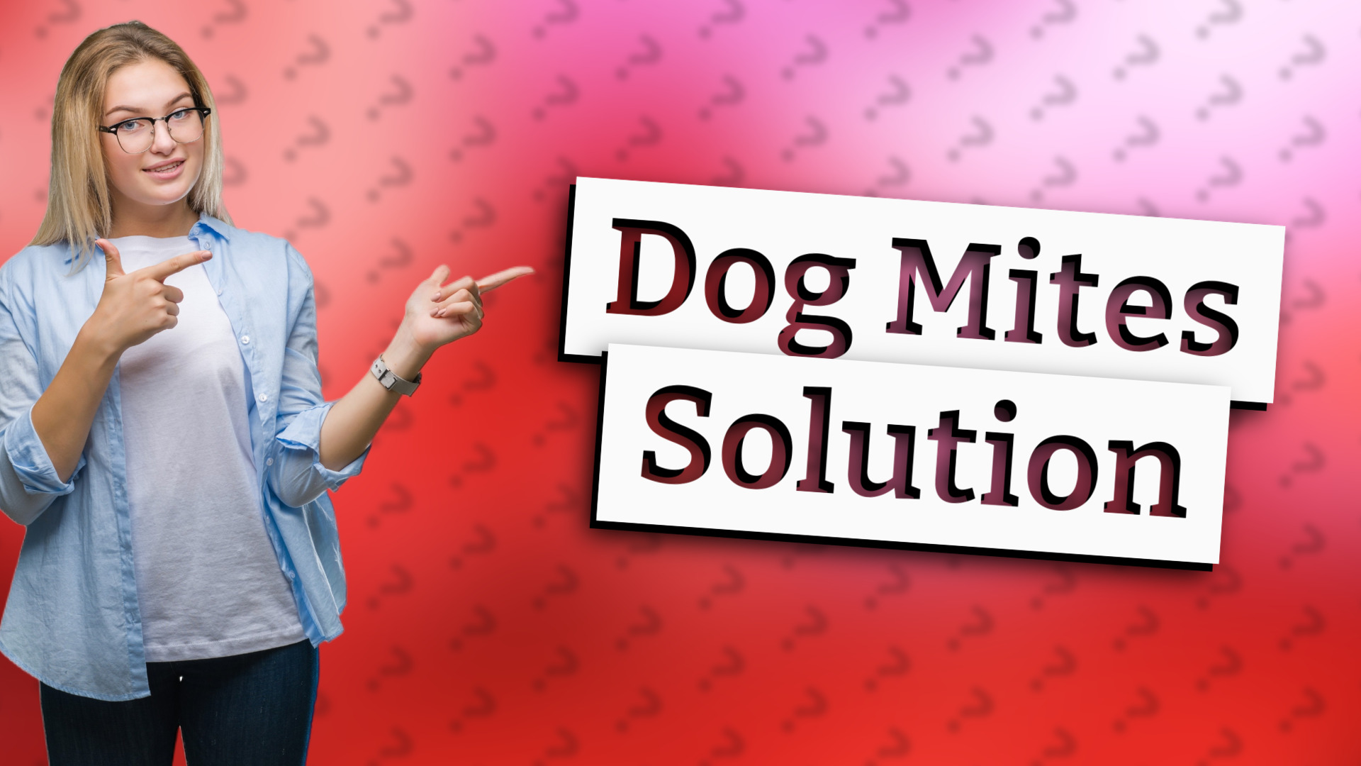 Dog Mites Solution