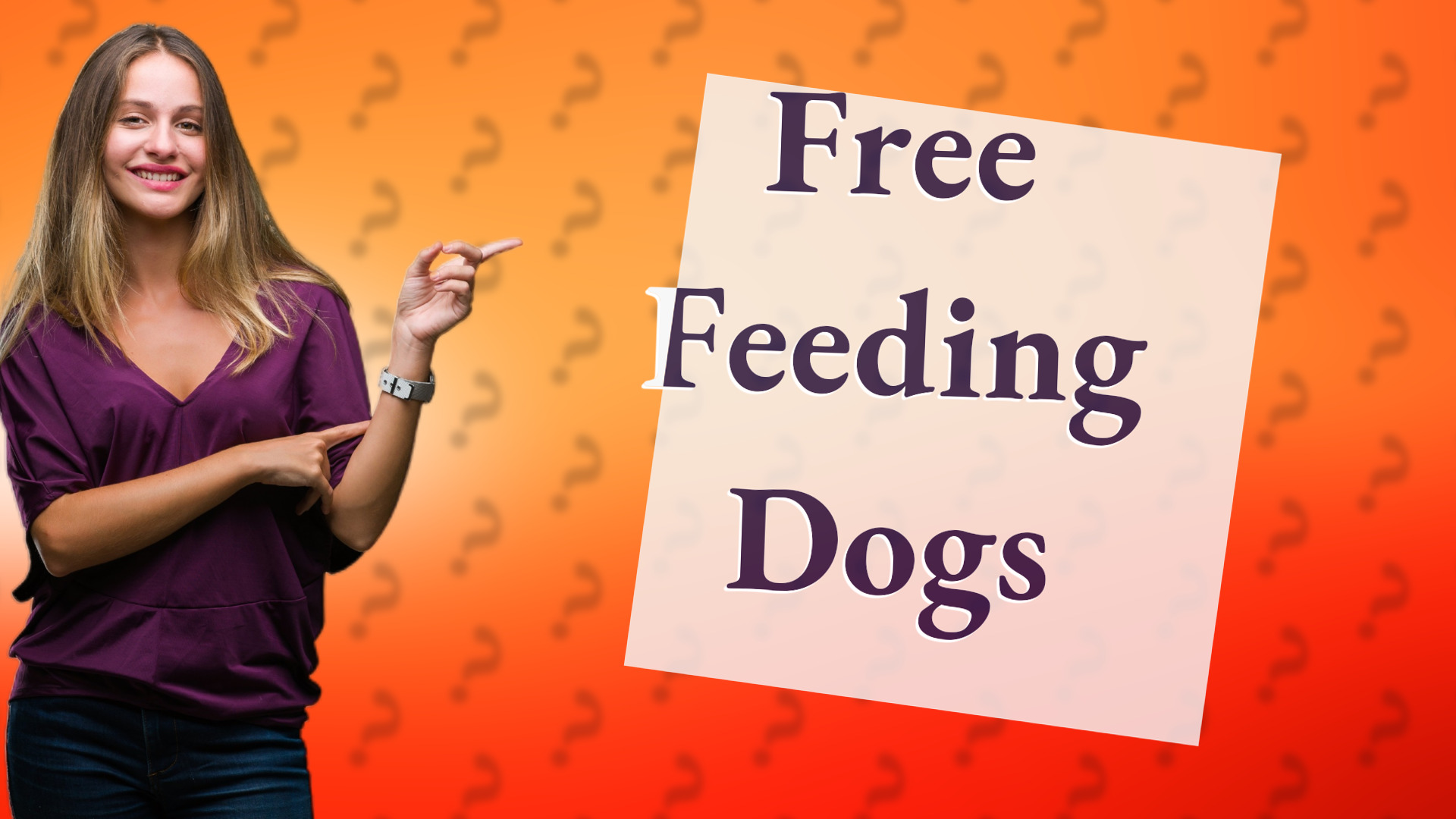 Free Feeding Dogs