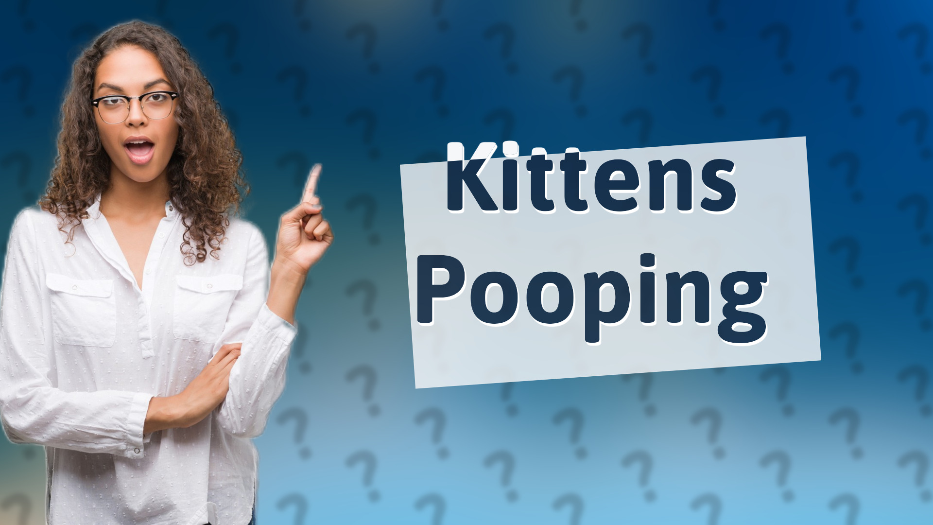 Kittens Pooping