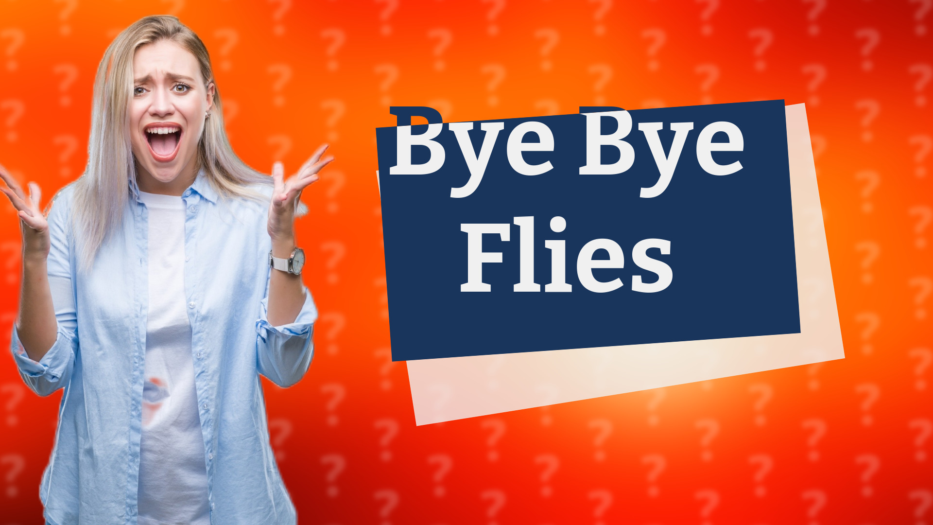 Bye Bye Flies