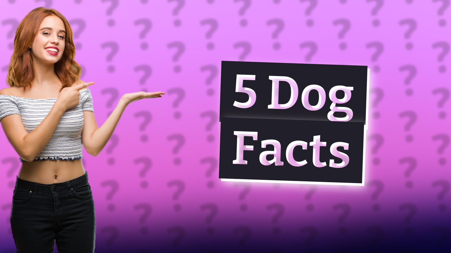 5 Dog Facts