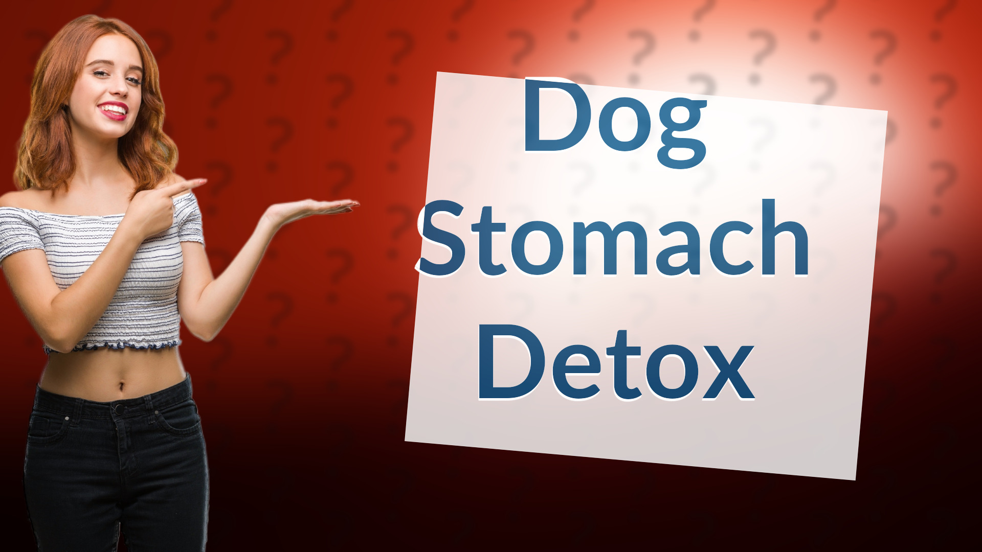 Dog Stomach Detox