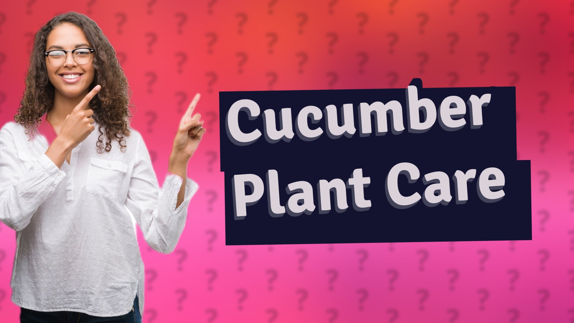 Cucumber Plant Care