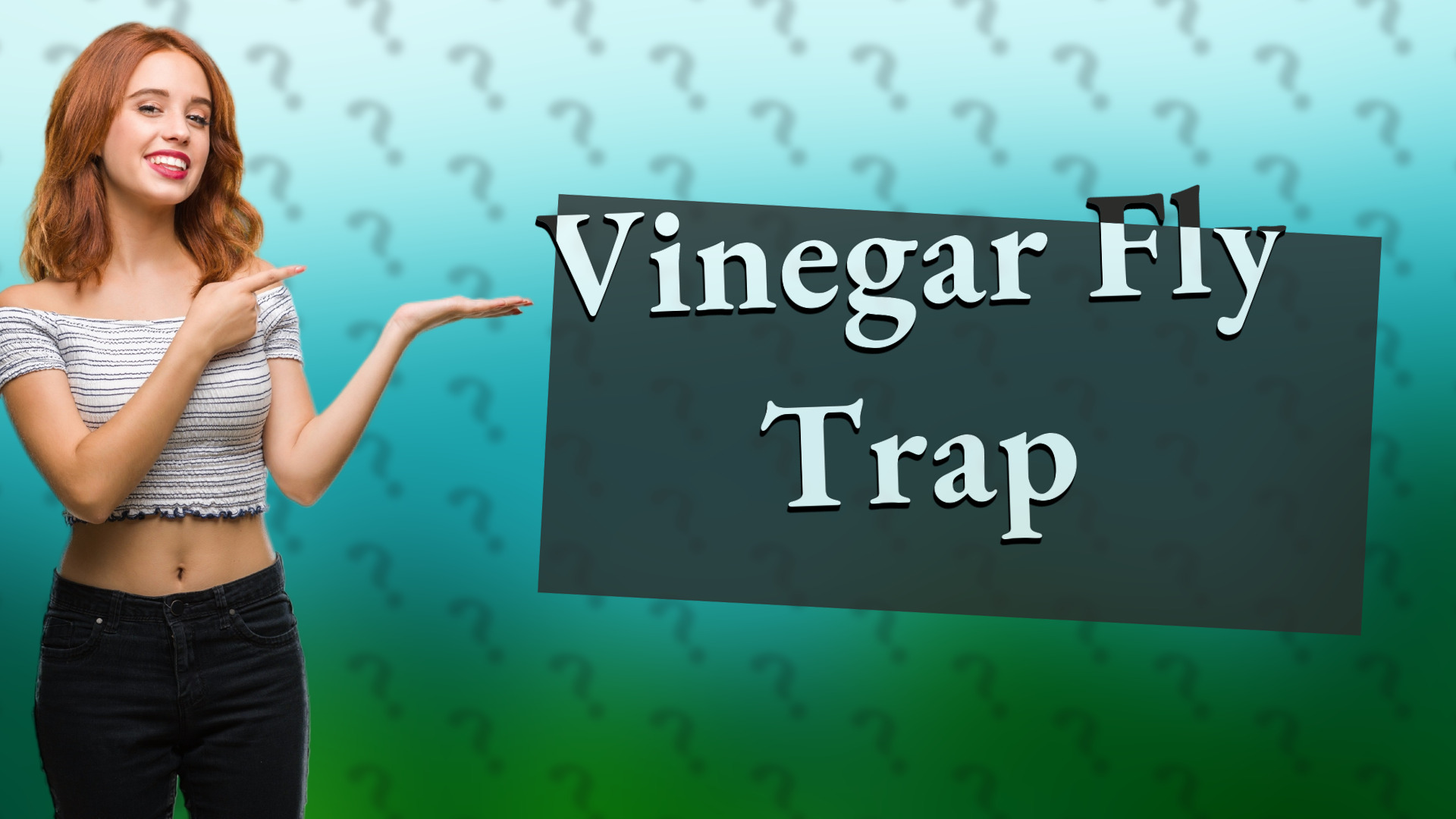 Vinegar Fly Trap