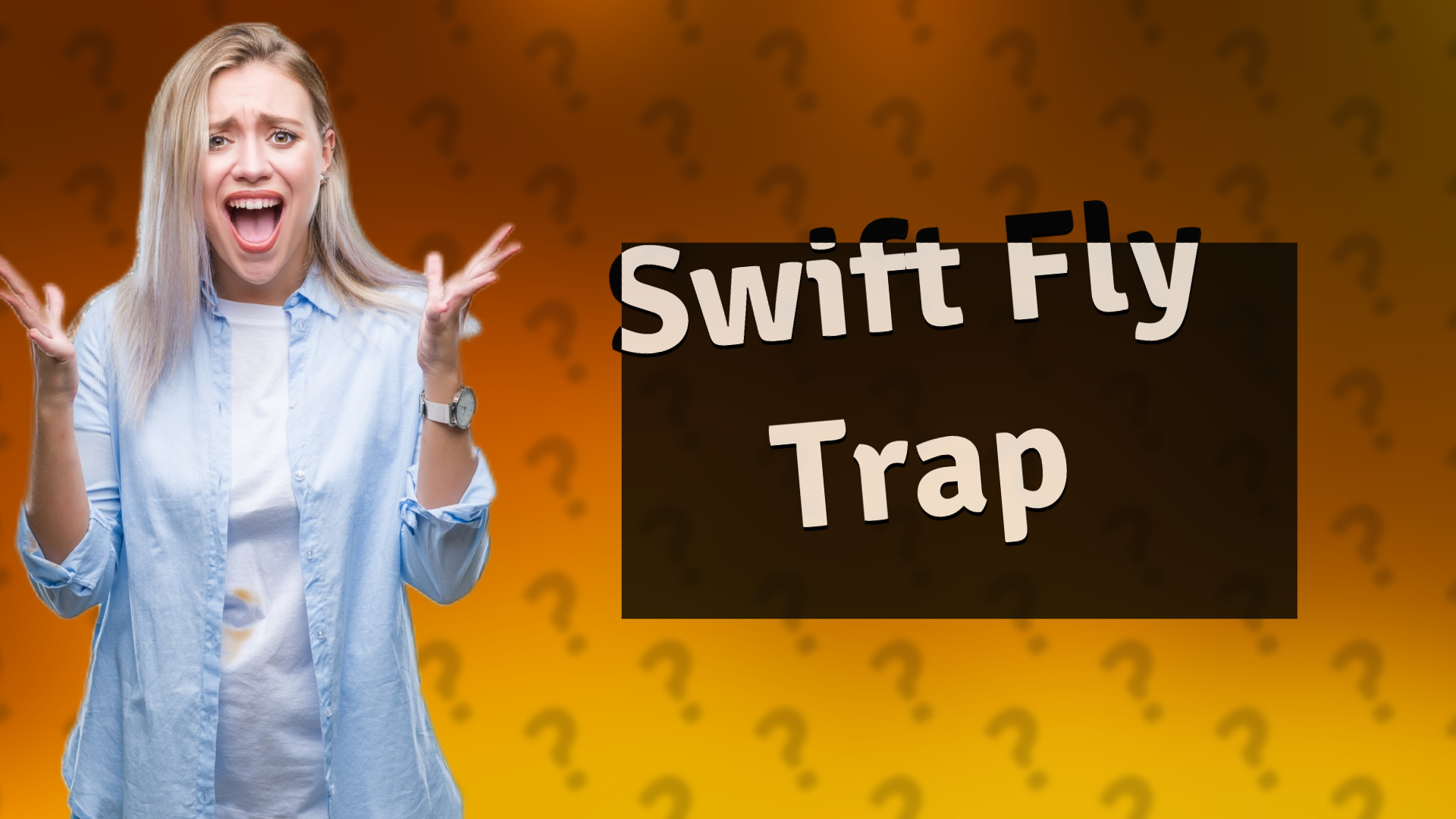 Swift Fly Trap