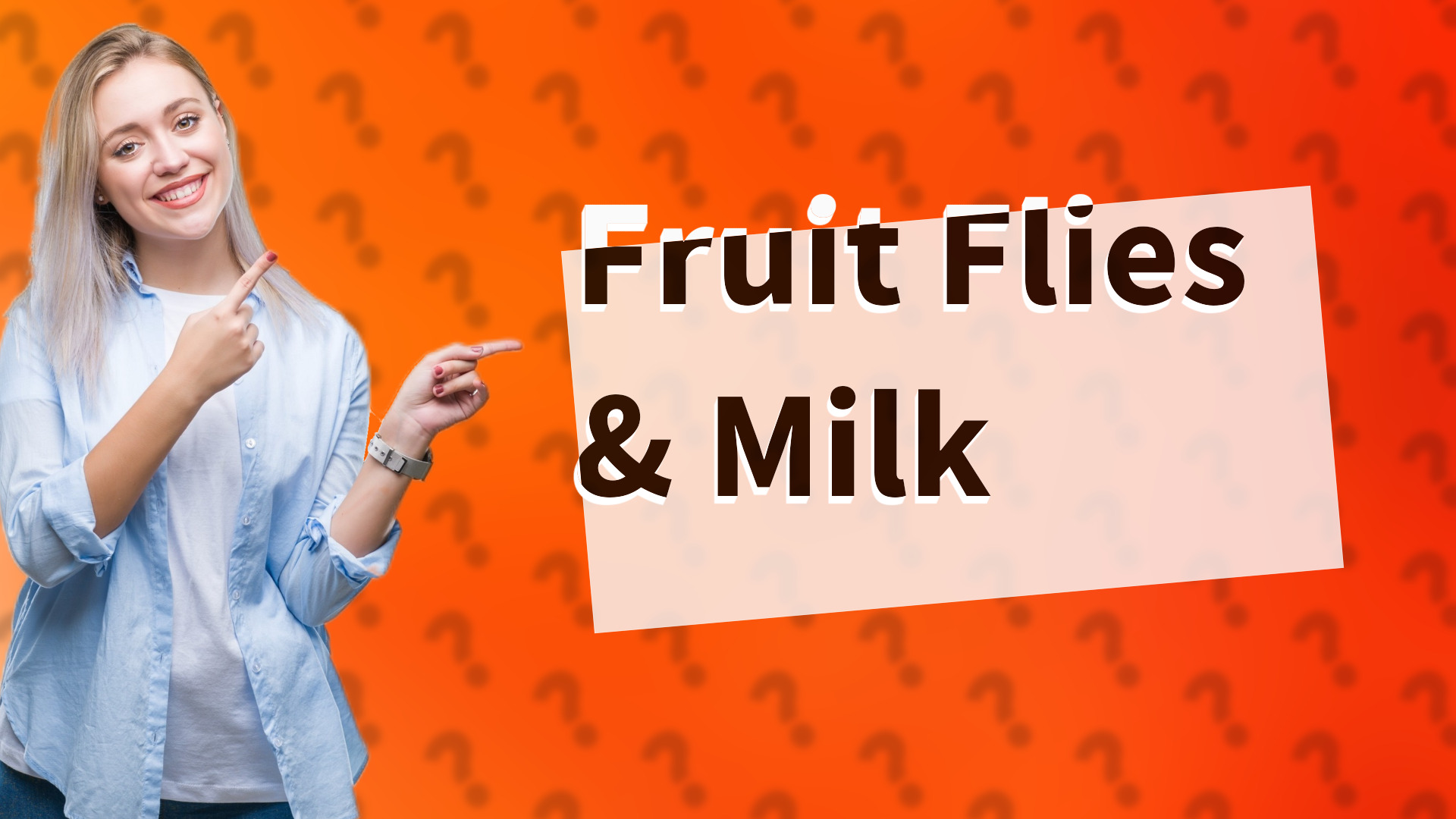 Fruit Flies & Milk