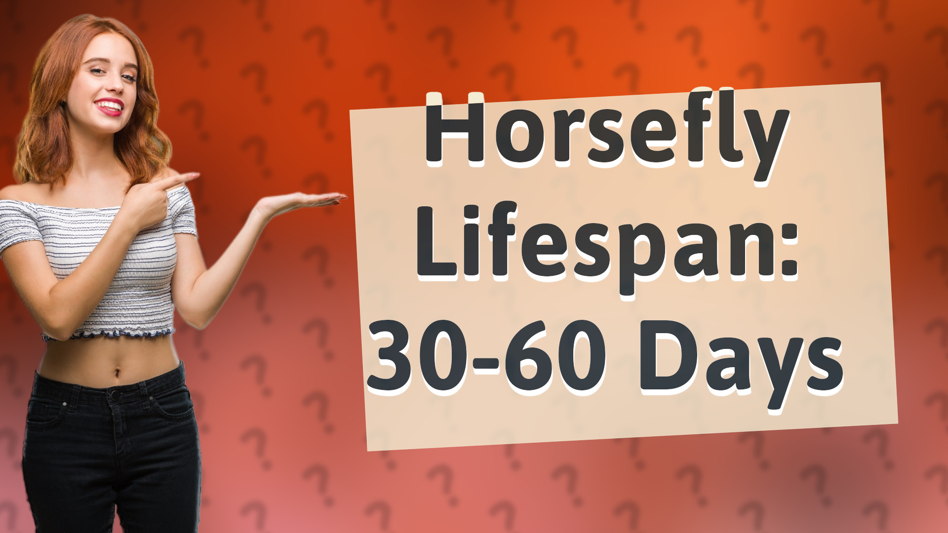 Horsefly Lifespan: 30-60 Days