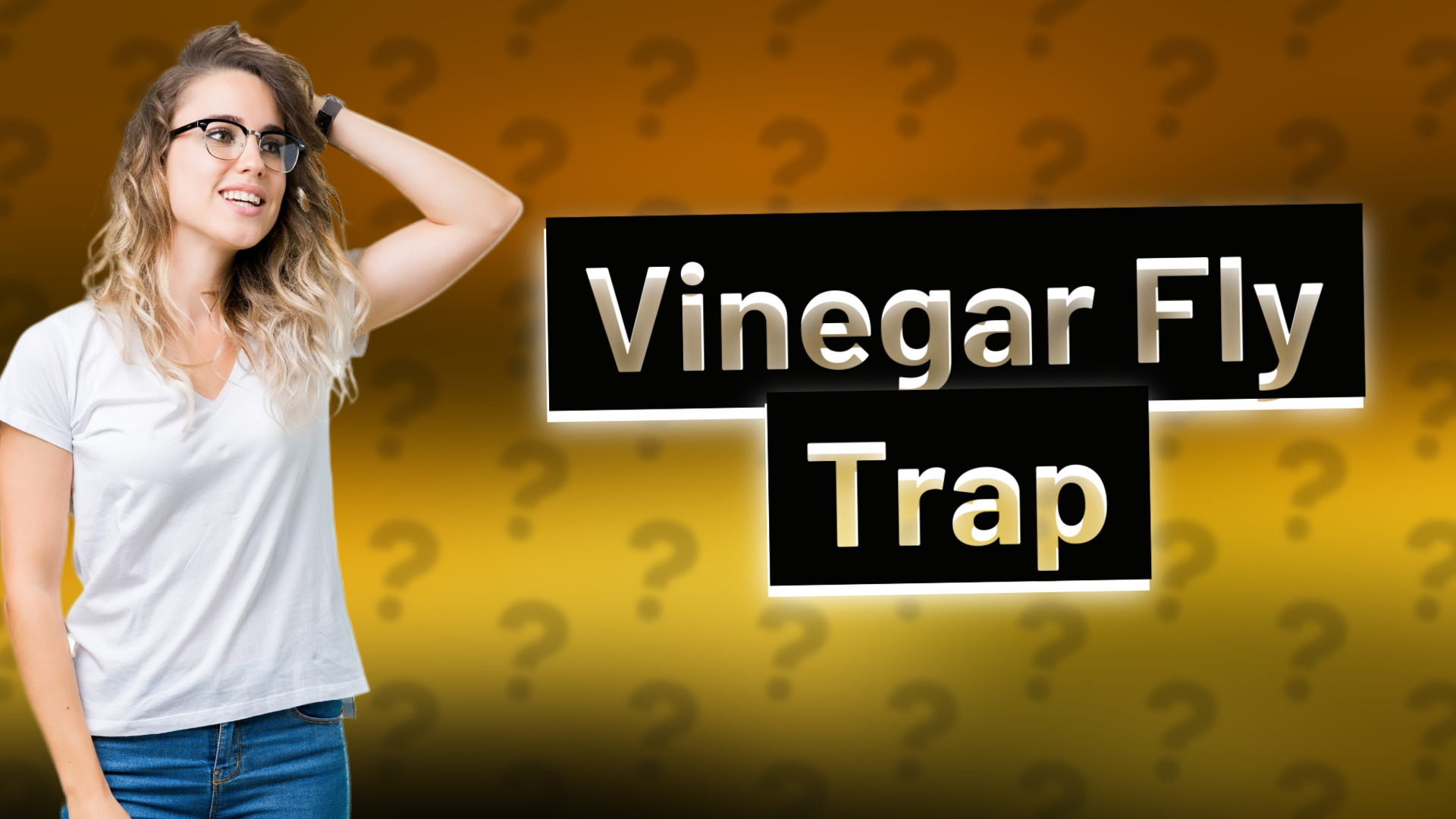 Vinegar Fly Trap