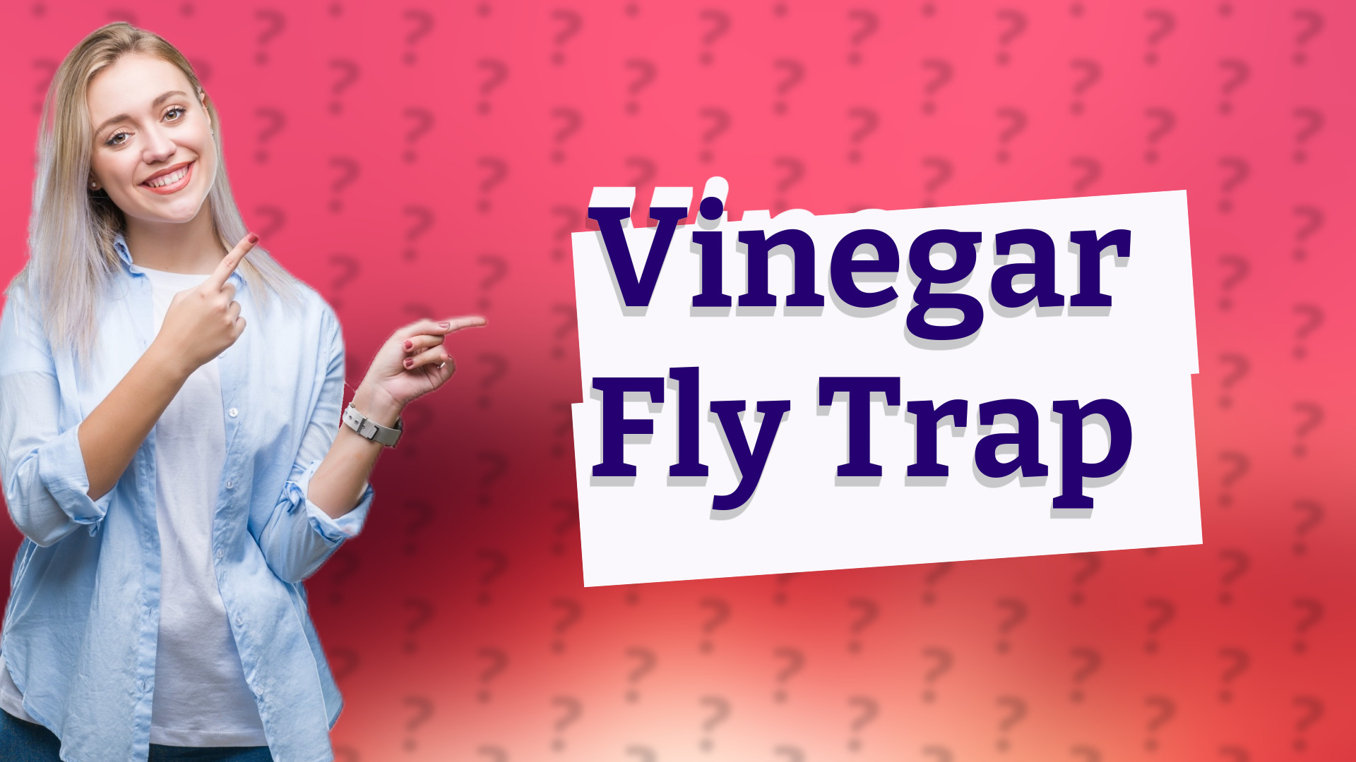 Vinegar Fly Trap