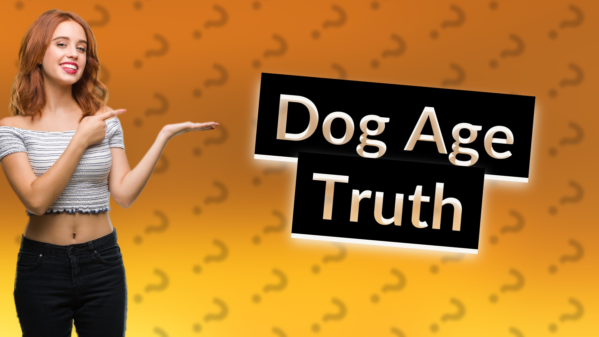 Dog Age Truth