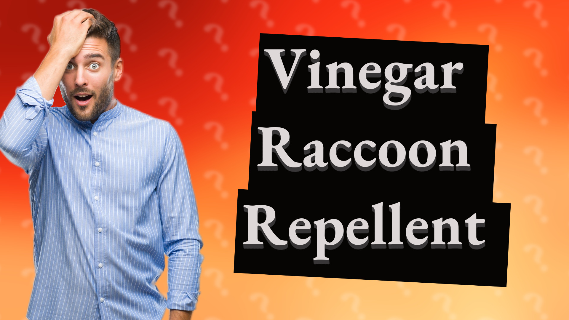 Vinegar Raccoon Repellent