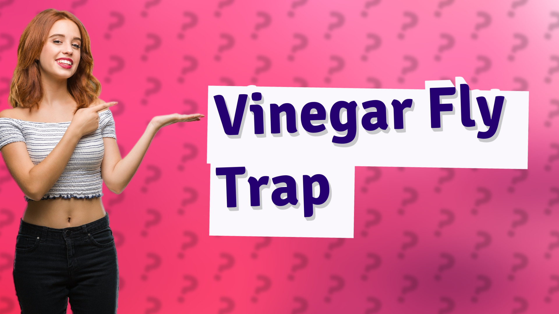 Vinegar Fly Trap