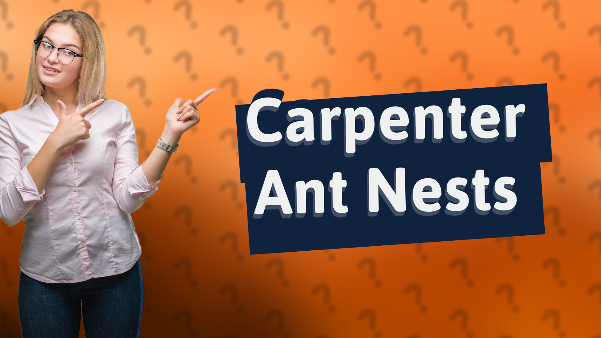 Carpenter Ant Nests