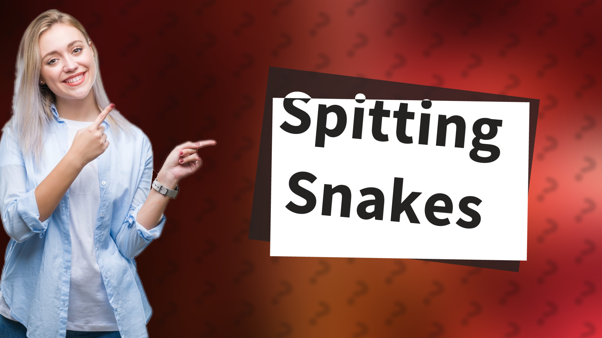 Spitting Snakes