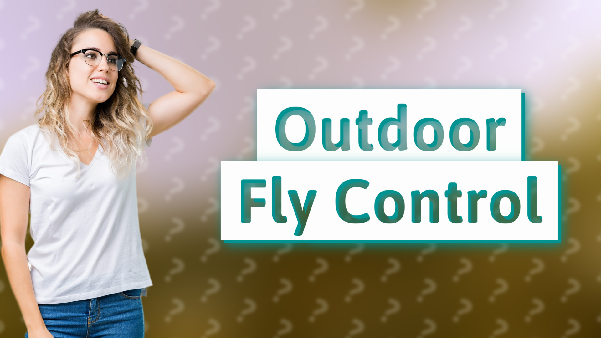 Outdoor Fly Control