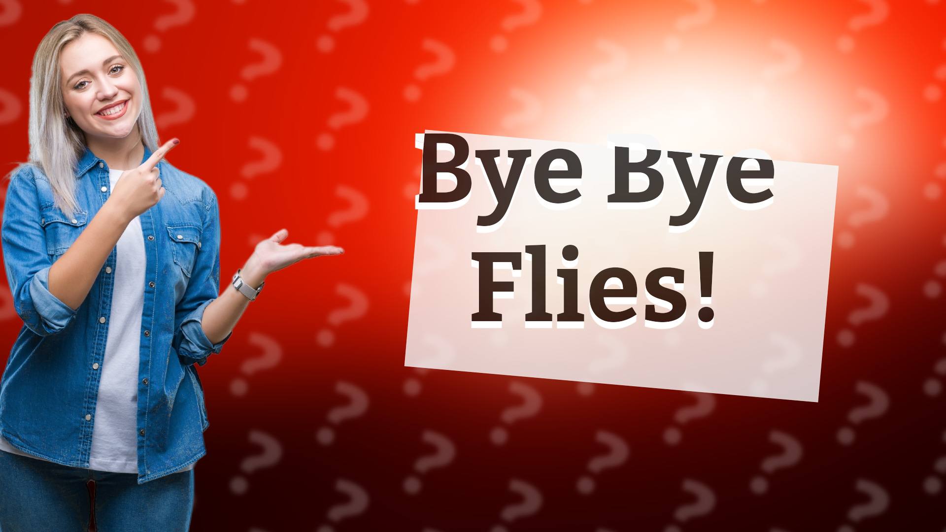 Bye Bye Flies!