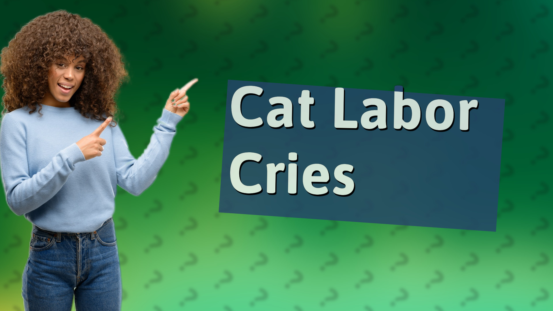 Cat Labor Cries