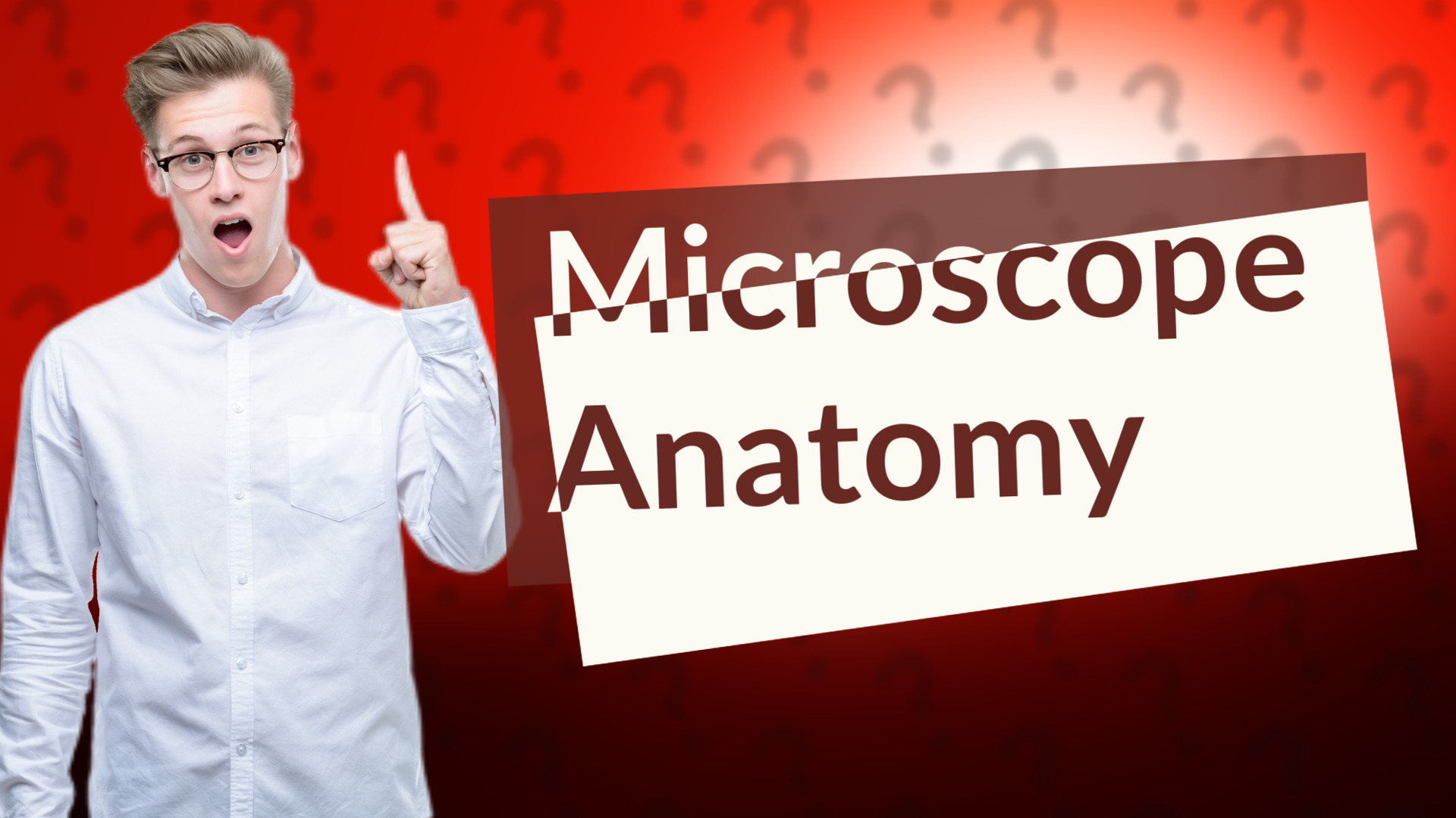 Microscope Anatomy