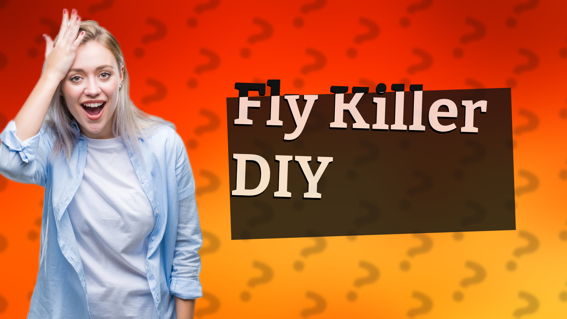 Fly Killer DIY