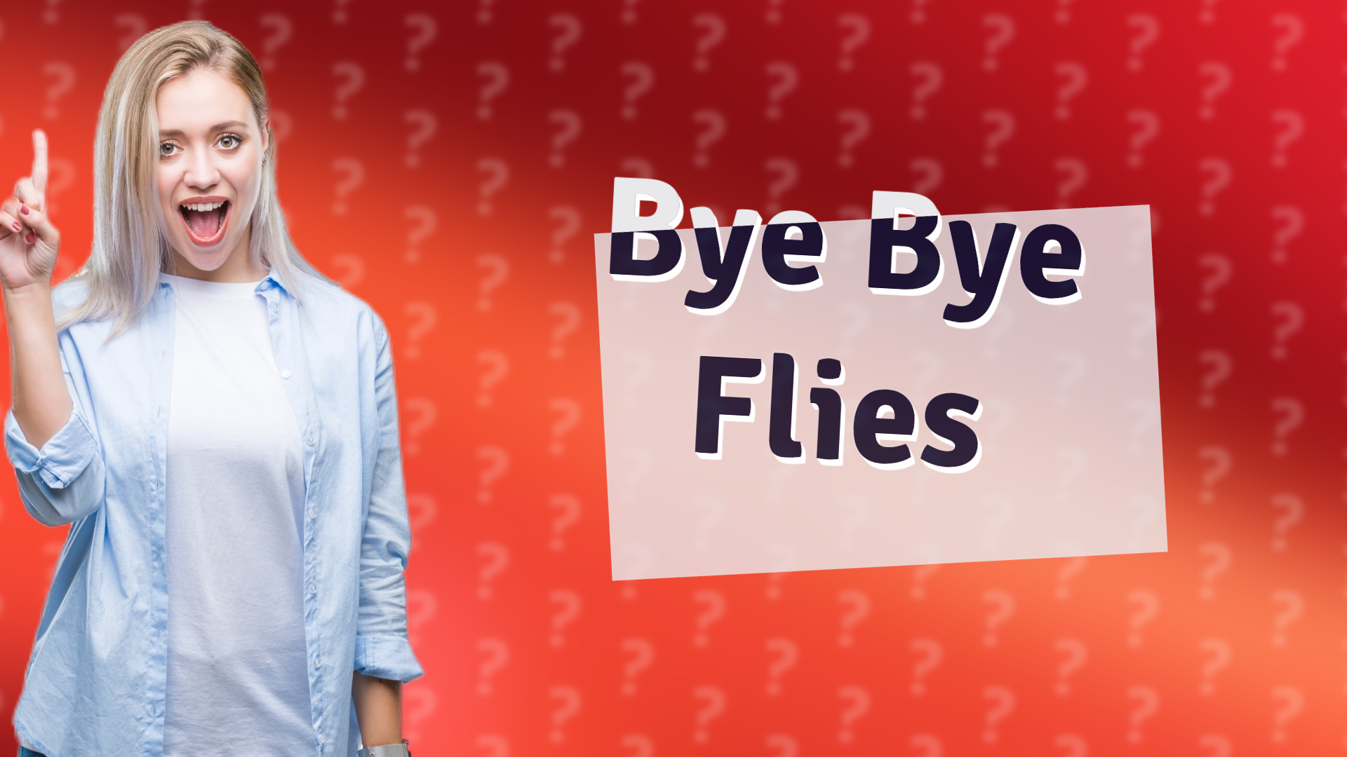 Bye Bye Flies