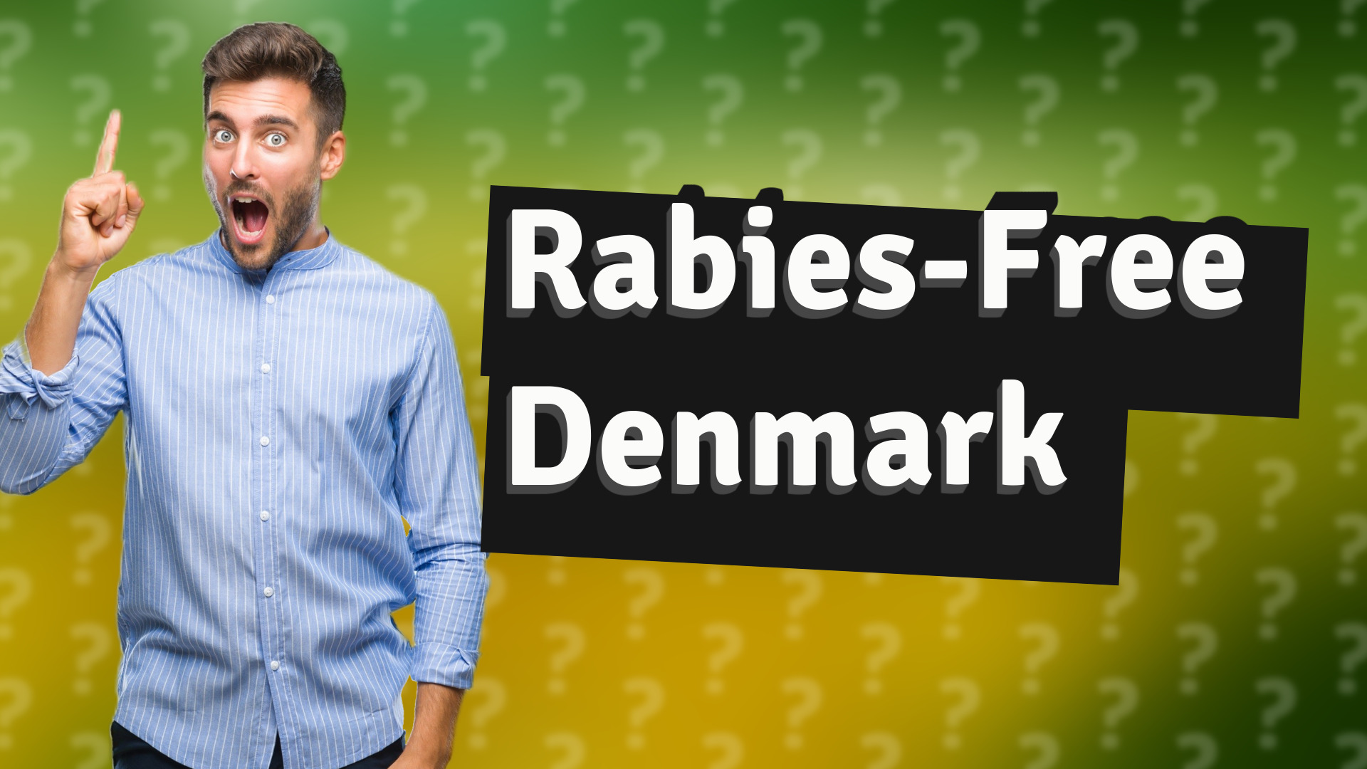 Rabies-Free Denmark