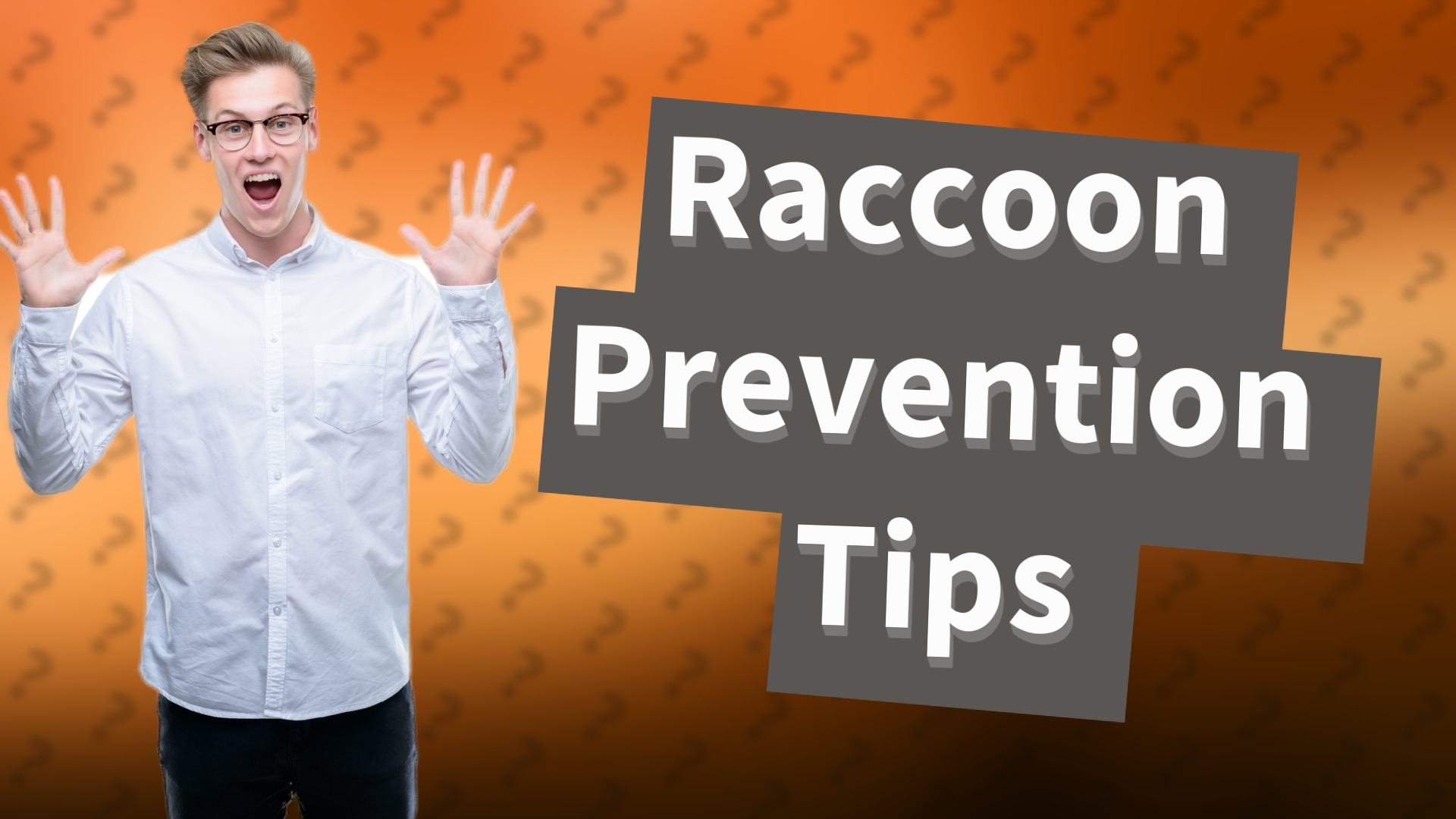 Raccoon Prevention Tips