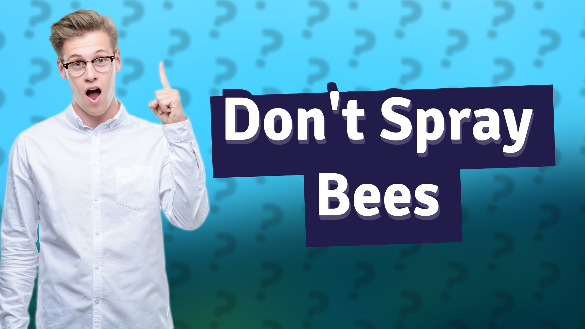 Don't Spray Bees