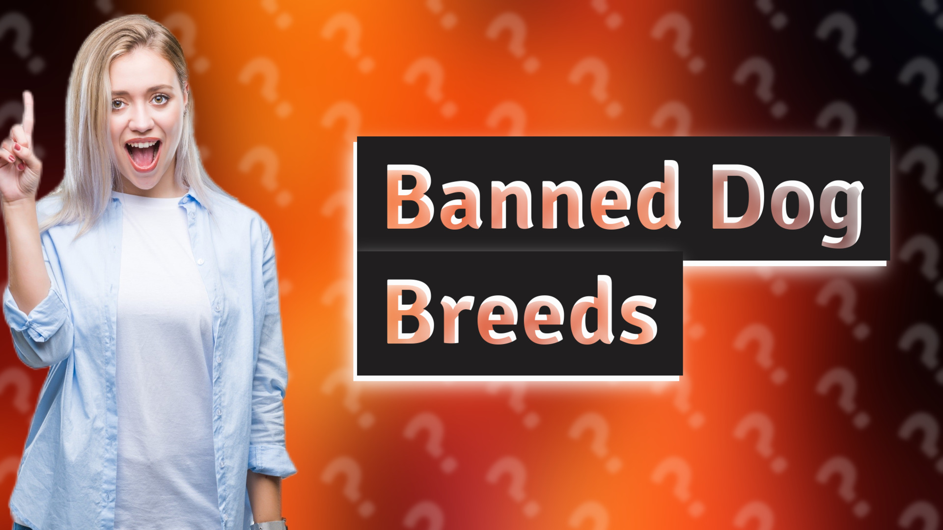 Banned Dog Breeds