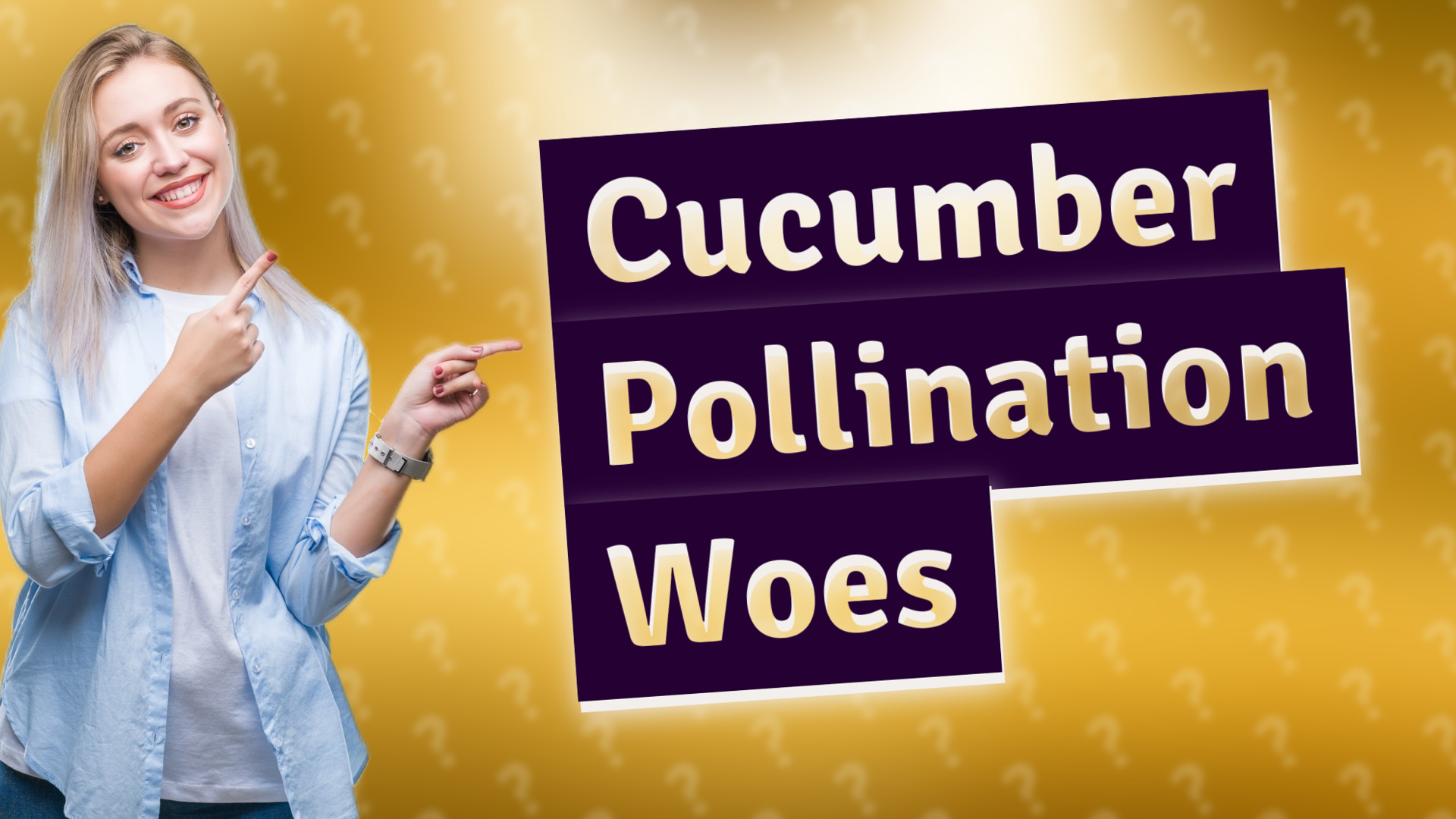 Cucumber Pollination Woes