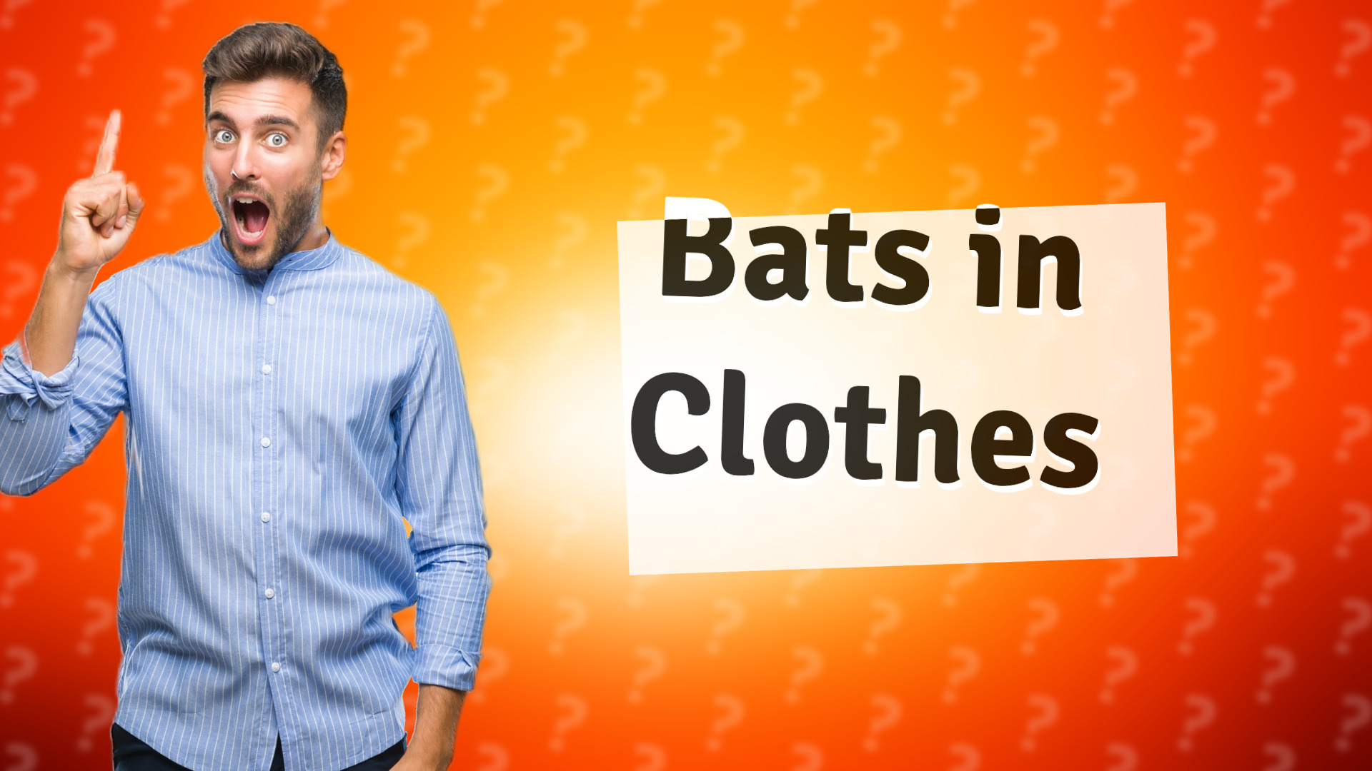 Bats in Clothes