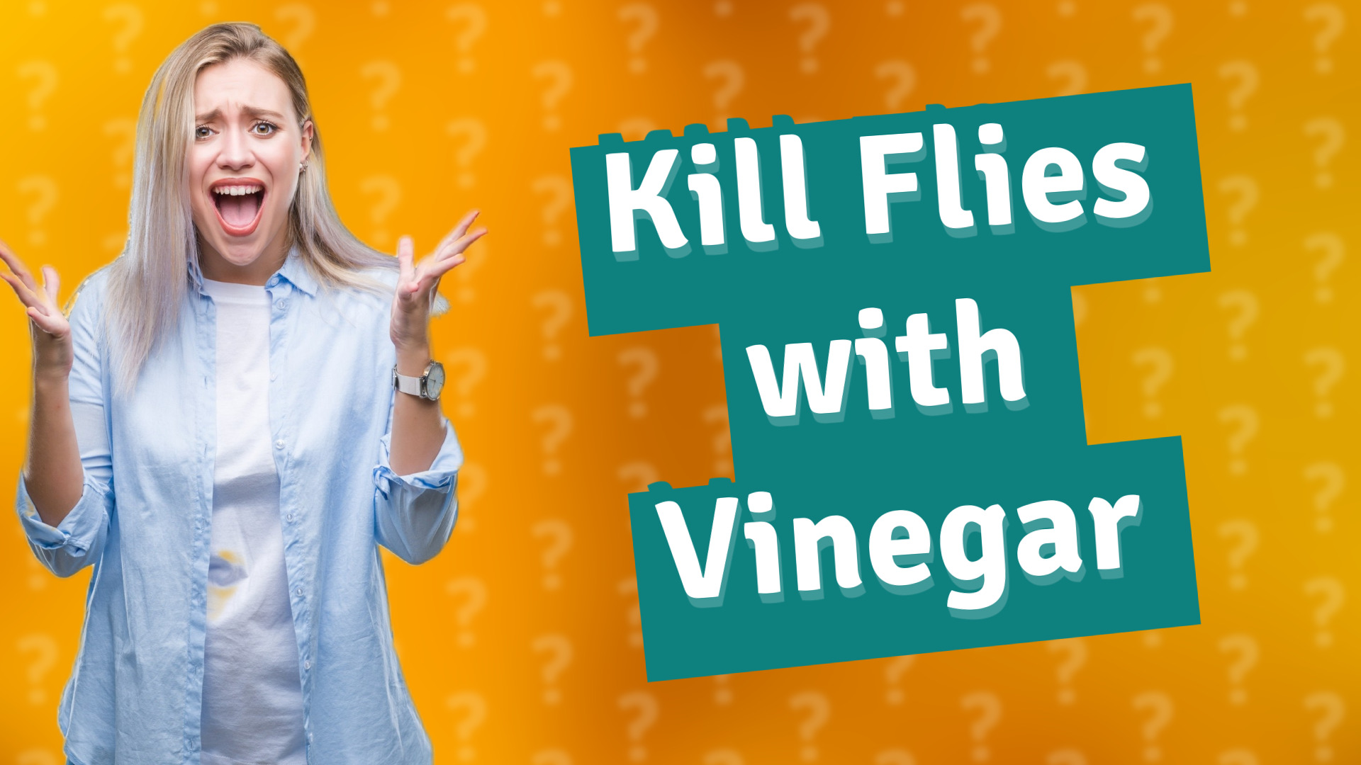 Kill Flies with Vinegar