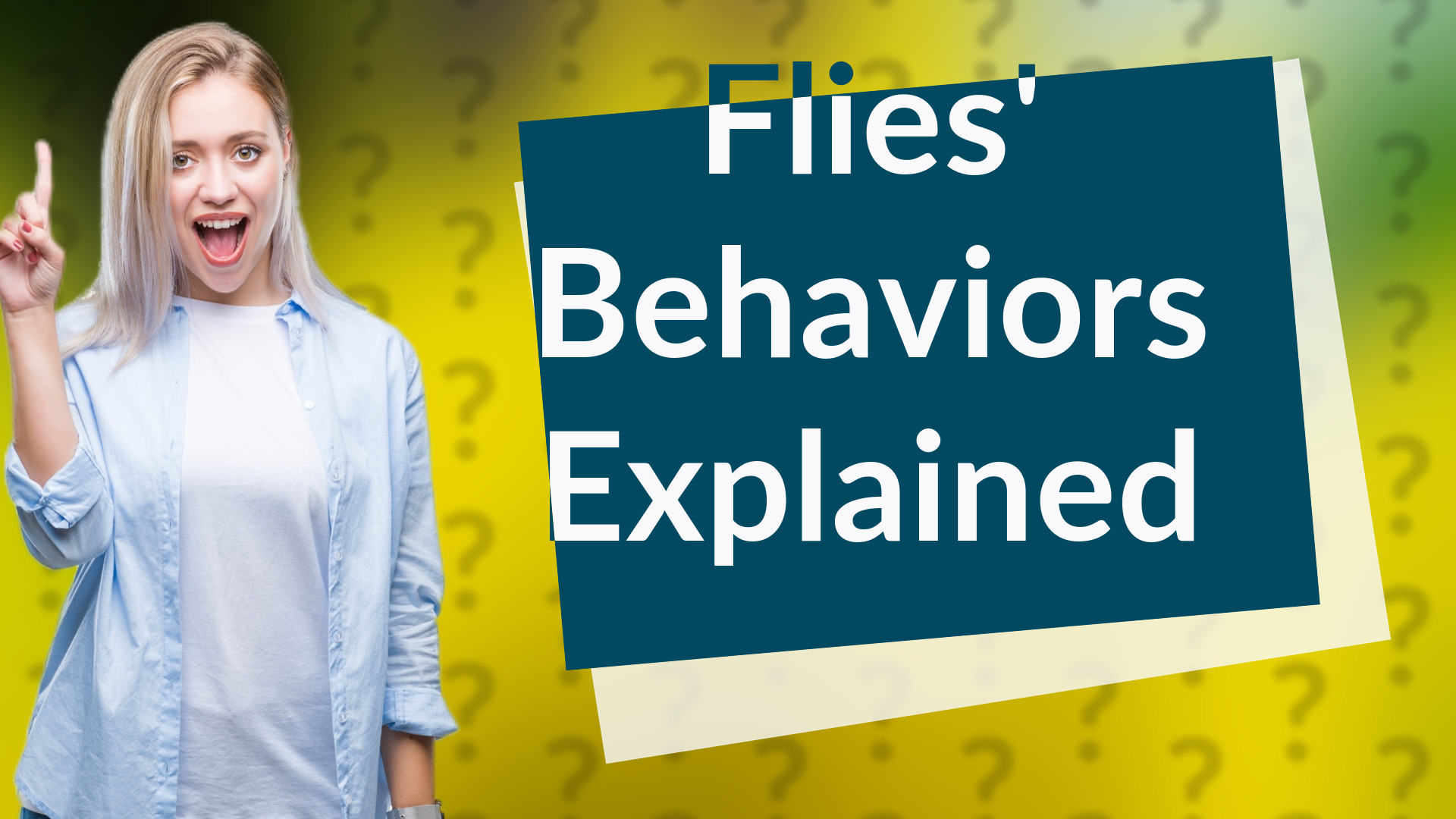 Flies' Behaviors Explained