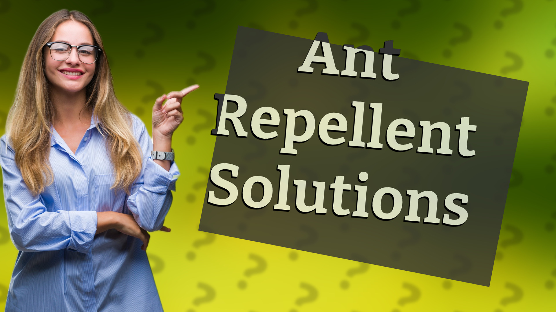 Ant Repellent Solutions