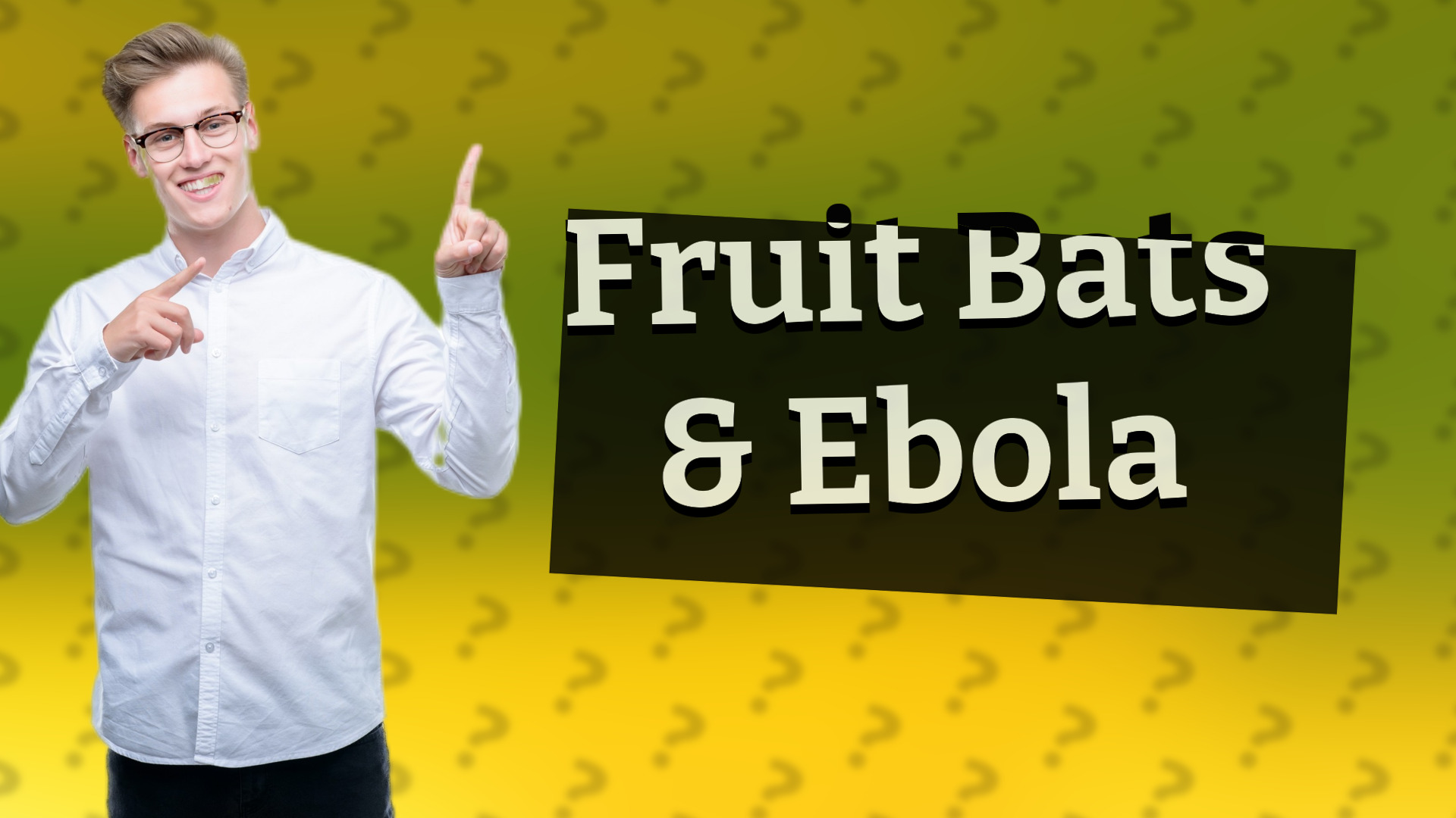 Fruit Bats & Ebola