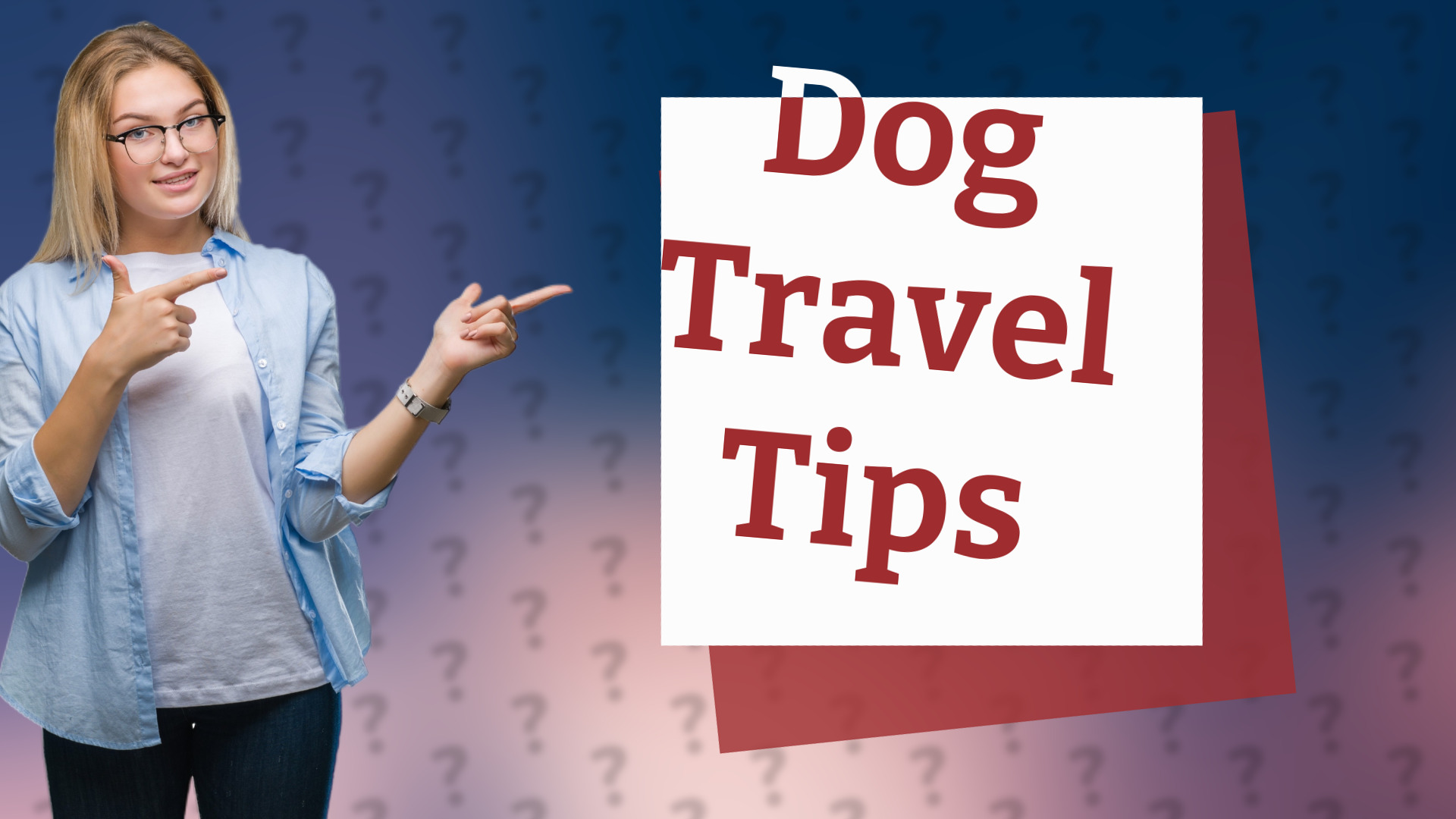 Dog Travel Tips